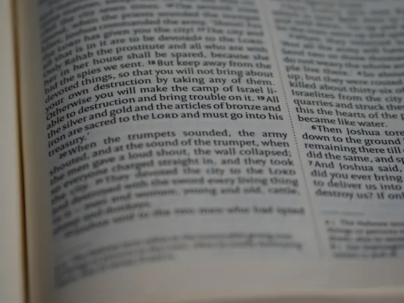 Kaszinó Grand Eagle Támogatás